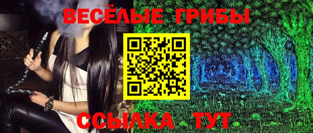 Псилоцибиновые грибы мицелий  Вход с VPN  Людиново  Псилоцибиновые грибы мицелий 